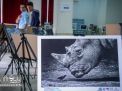گزارش تصویری | نمایشگاه عکس های برگزیده جشنواره بین المللی عکس خیام 